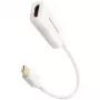 AXAGON RVDM-HI14NW - 0,15 m - Mini DisplayPort - HDMI - isane - emane - sirge