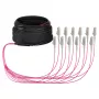 EFB Trunk kaabel U-DQ(ZN)BH OM4 12G (1x12) LC-LC 10m Dca LSZH