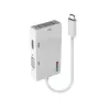 Lindy USB Type C to Triple Display Converter, 3840 x 2160 pikslit