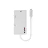 Lindy USB Type C to Triple Display Converter, 3840 x 2160 pikslit