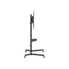 Equip 55-tolline kuni 100-tolline ökonoomne telerikäru, 2.54 m (100 tolli), 100 x 100 mm, 800 x 600 mm, -10 - 5°, Plastik, Roostevaba teras, Must
