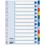 Esselte vahelehed PP A4 12 sakiga, tühi sakikaart, polüvinüülkloriid (PVC), mitmevärviline, A4, 2, 4, 6, 225 mm
