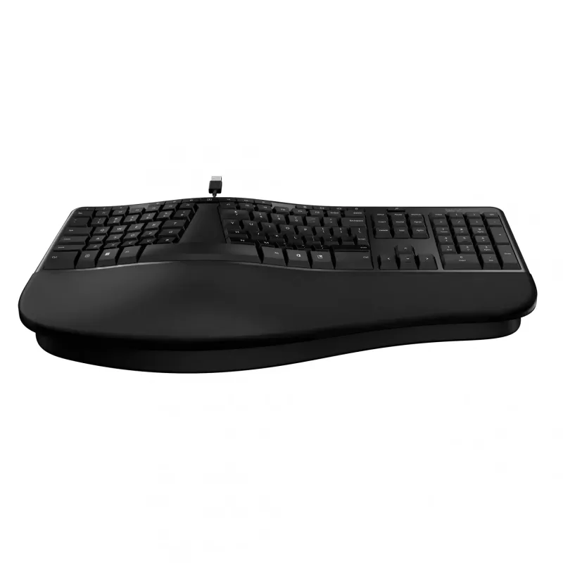 Incase Designed by Microsoft Ergonoomiline klaviatuur kontor USB QWERTY inglise must
