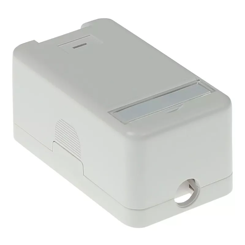 ACT Keystone pinnale paigaldatav karp 1 port, Valge, 1 tk