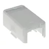 ACT Keystone pinnale paigaldatav karp 1 port, Valge, 1 tk
