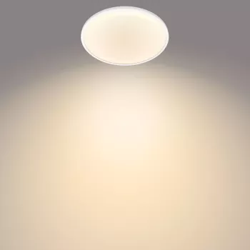 Philips Functional üliõhuke laevalgusti 18 W, LED, vahetamatud pirnid, 2700 K, 1500 lm, IP20, valge
