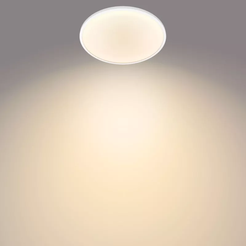 Philips Functional üliõhuke laevalgusti 18 W, LED, vahetamatud pirnid, 2700 K, 1500 lm, IP20, valge