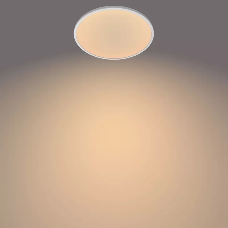 Philips Functional üliõhuke laevalgusti 18 W, LED, vahetamatud pirnid, 2700 K, 1500 lm, IP20, valge