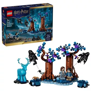 LEGO Harry Potter 76475 Keelatud mets: Expecto Patronum (244 osa)