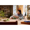 LEGO Botanicals 11505 Metseened (806 osa)