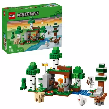 LEGO Minecraft 21593 Esimese öö seiklus (301 osa)