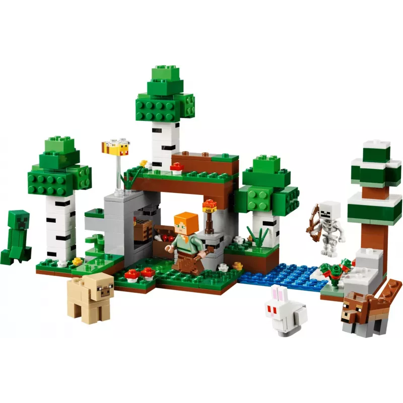 LEGO Minecraft 21593 Esimese öö seiklus (301 osa)