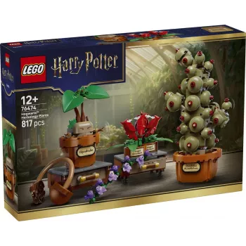 LEGO Harry Potter 76474 Sigatüüka taimeõpetuse taimed (817 osa)