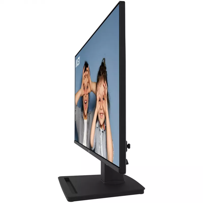 MSI PRO MP252 24.5 inch Full HD IPS 100Hz Business Monitor - Must