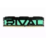 PC-mälu DDR4 Rival Radiant 16GB (1x16GB) 3200MHz CL16 Roheline