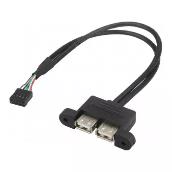 ASRock DeskMini 2x USB 2.0 sisemine adapterkaabel (5RB000010020)