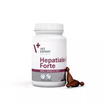 VetExpert Hepatiale Forte Small Breed & Cats 40 Capsules