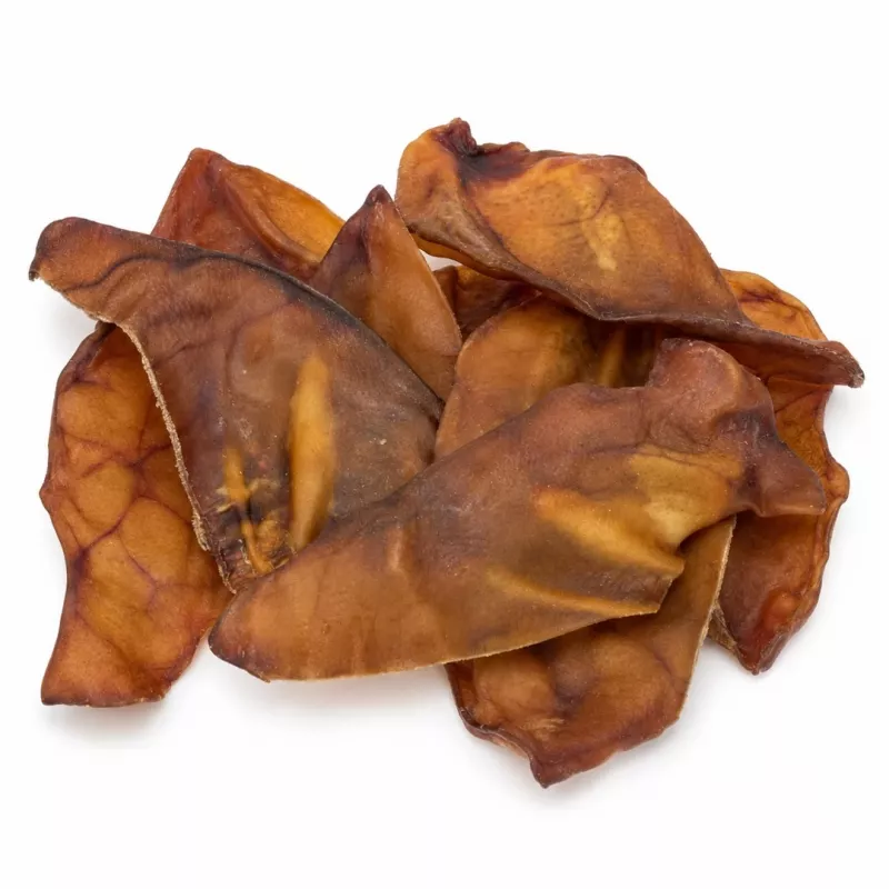 PETITTO Sea koera närimiskont 10 tk