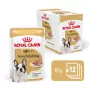 ROYAL CANIN French Bulldog Adult Digestive Health Loaf Box - Wet Dog Food - 12x85g