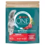 Purina ONE Sterilcat kuiv kassitoit veise- ja nisuga 750g