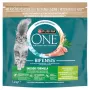 Purina ONE Indoor Formula Cat Turkey 1.4kg