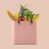 Rotho Multibag Albula Style 25L Hoiukast, Meadow Rose