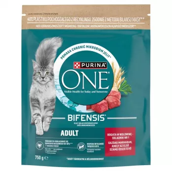 Purina ONE Täiskasvanud kasside kuivtoit veiseliha ja täisteraviljadega 750g