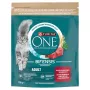 Purina ONE Täiskasvanud kasside kuivtoit veiseliha ja täisteraviljadega 750g