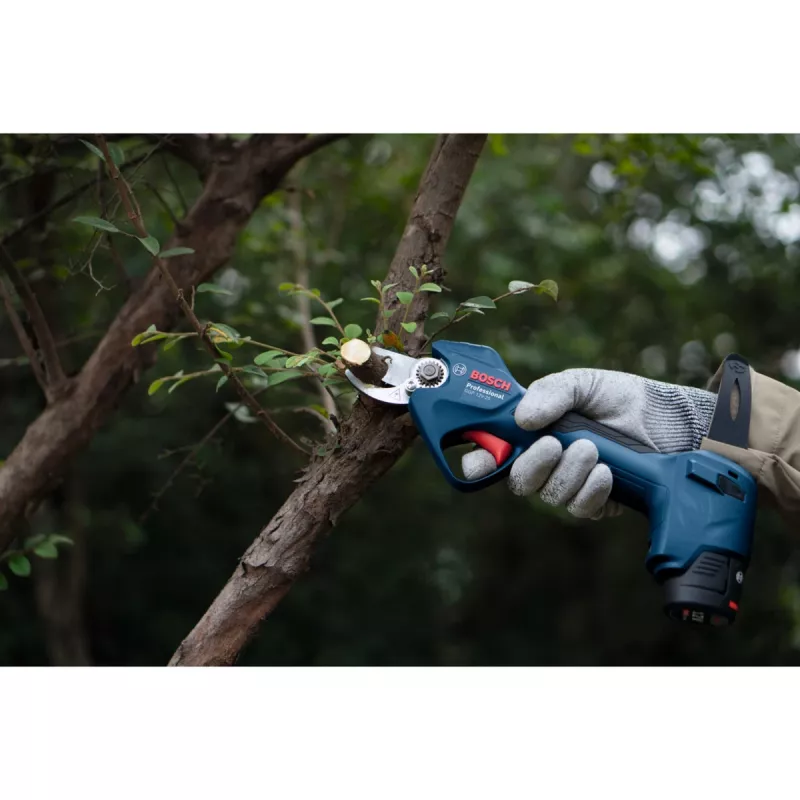 Bosch GGP 12V-25 Professional juhtmevabad oksakäärid komplekt 2x3.0Ah