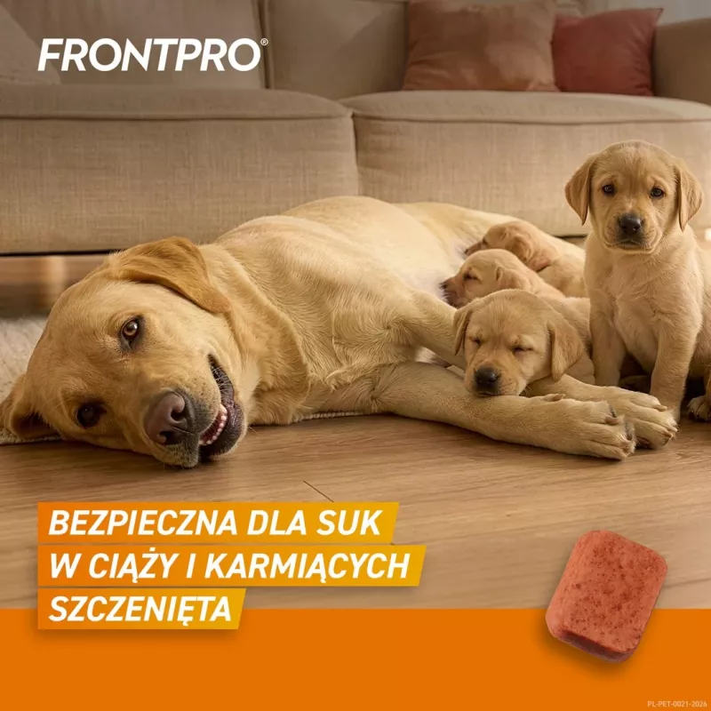 FRONTPRO Kirbu- ja puugitabletid koertele (25-50 kg) - 3x 136 mg Afoksolaani närimistabletid