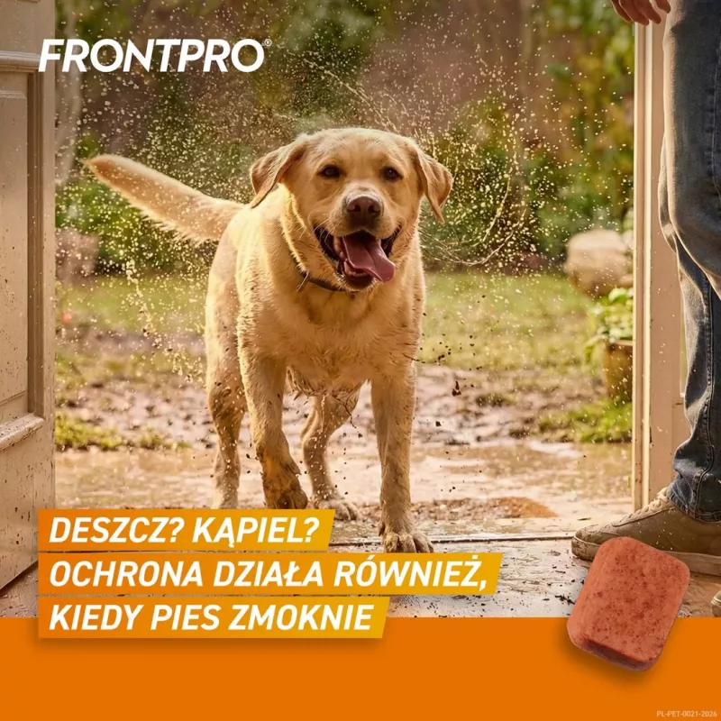 FRONTPRO Kirbu- ja puugitabletid koertele (25-50 kg) - 3x 136 mg Afoksolaani närimistabletid