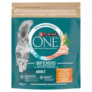 Purina One Mini Active Dog Food Chicken & Rice 750g