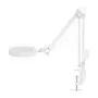 NEDIS MAGLE2WT Lauamagnetaator LED-valgusega, 2x/4x suurendus, valge