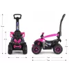 MILLY MALLY lastejalgratas käepidemega Wild Pink 12 tolli