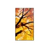 Sharp MultiSync M652 65 tolli 4K UHD professionaalne ekraan 550 cd/m² 24/7