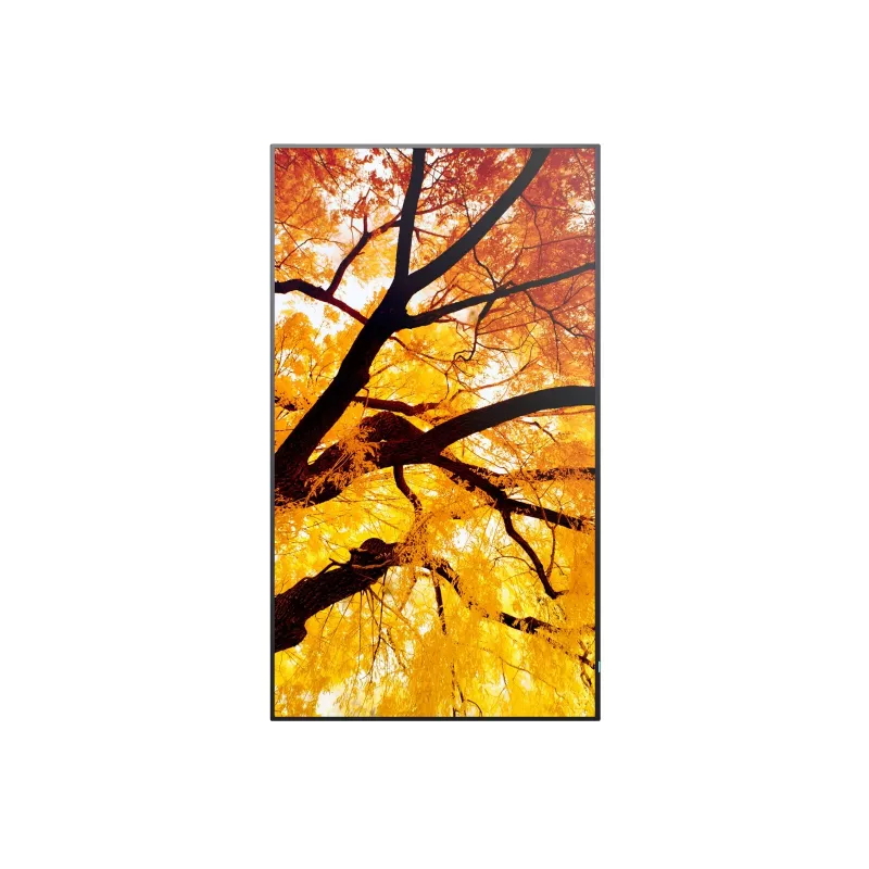 Sharp MultiSync M652 65 tolli 4K UHD professionaalne ekraan 550 cd/m² 24/7
