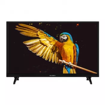 GoGEN TVH24A336 24 tolli HD Ready LED teler