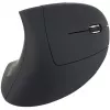 Equip 245110 Vertikaalne Ergonoomiline Juhtmevaba Hiir - Paremakäeline - 2,4 GHz - USB Vastuvõtja - Must
