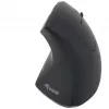 Equip 245110 Vertikaalne Ergonoomiline Juhtmevaba Hiir - Paremakäeline - 2,4 GHz - USB Vastuvõtja - Must