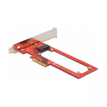 Delock PCI Express x4 kaart 1 x EDSFF E1.S pesaga - madal profiil
