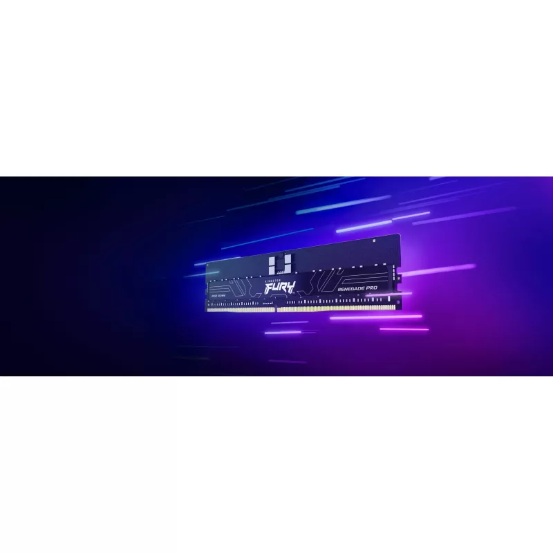 Kingston FURY Renegade Pro 256 GB (8x 32 GB) DDR5-5600 MHz CL28 RDIMM ECC Registered Memory Kit Black