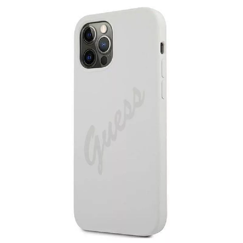 Guess Apple iPhone 12 Pro Max 6.7 tolli Vintage Ümbris Kreem