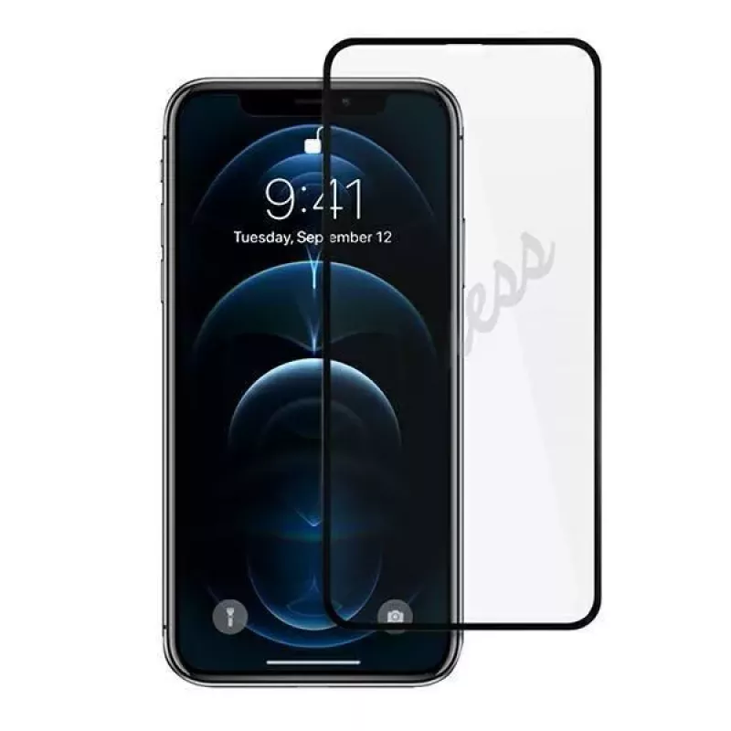 Guess Karastatud Klaas GUSPP12LSLTR Ekraanikaitse Apple iPhone 12 Pro Max 6.7 tolli Vintage Magic Logo