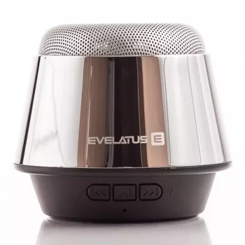 Evelatus ESP01 Bluetooth Speaker Silver