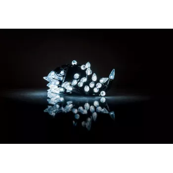 iLike Robin 2-värvilised LED-valgustid 2m patareitoitega