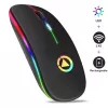 GameBox MR12 juhtmevaba hiir RGB-valgustuse, vaikse klõpsu, USB-laetava, ergonoomilise disainiga, must