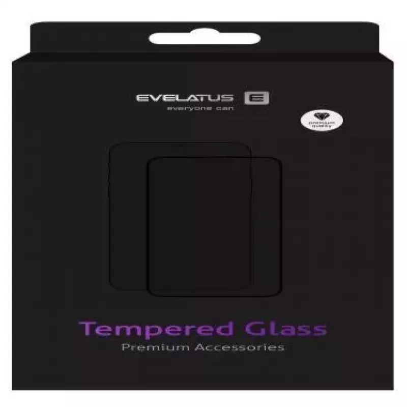 Evelatus Samsung Galaxy S10 Plus Clear Glass UV + Glue