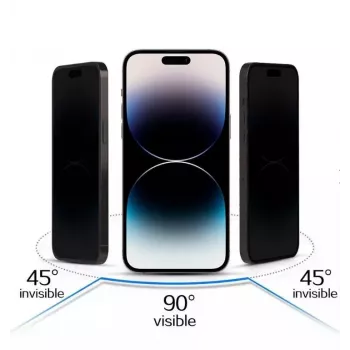 iLike Apple iPhone 17 Karastatud Privaatsusklaas Must