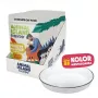 ANIMAL ISLAND NEW JELLY EVERYDAY 12x85g koos söötmisaluse