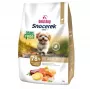 GDD Gold Dog Snocerek Grain Free Small Breeds Beef & Salmon, Potato kuiv koeratoit - 4 kg